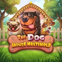 The Dog House Multihold game at Space Casino for United Kingdom players